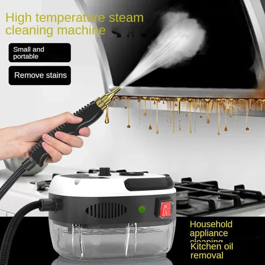 Steam Cleaner High Temperature Sterilization For Home And Car - Real Group